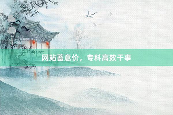 网站蓄意价，专科高效干事
